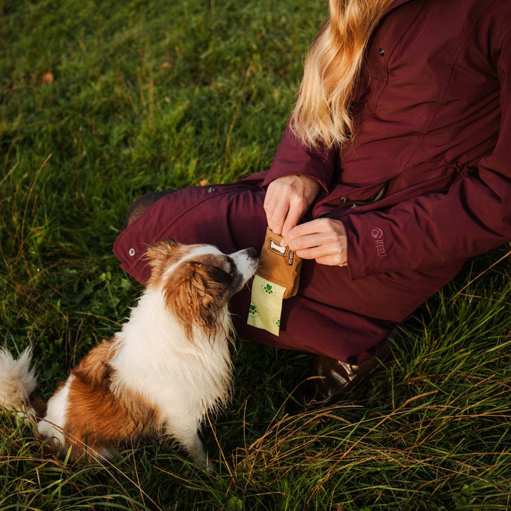 Dog Treat Pouch
