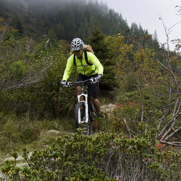 Women's Liberty Softshell Jacket