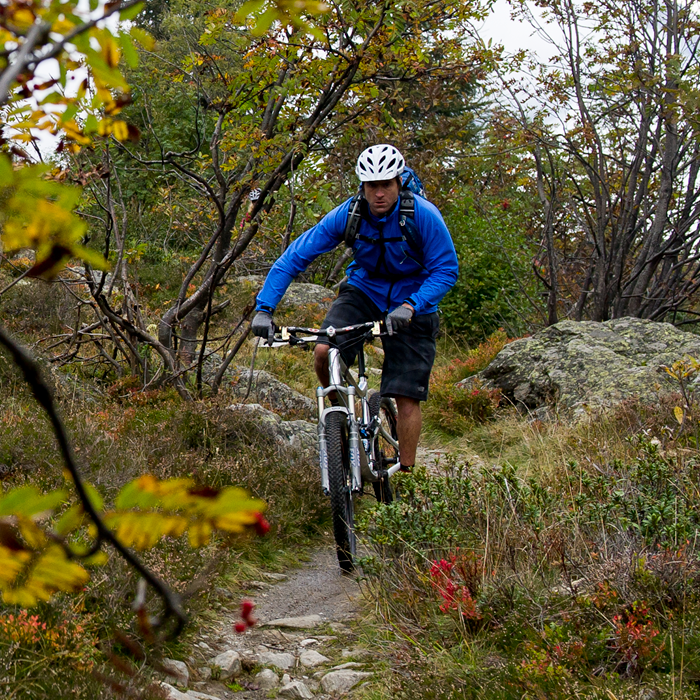 Men's Lynx Softshell Jacket