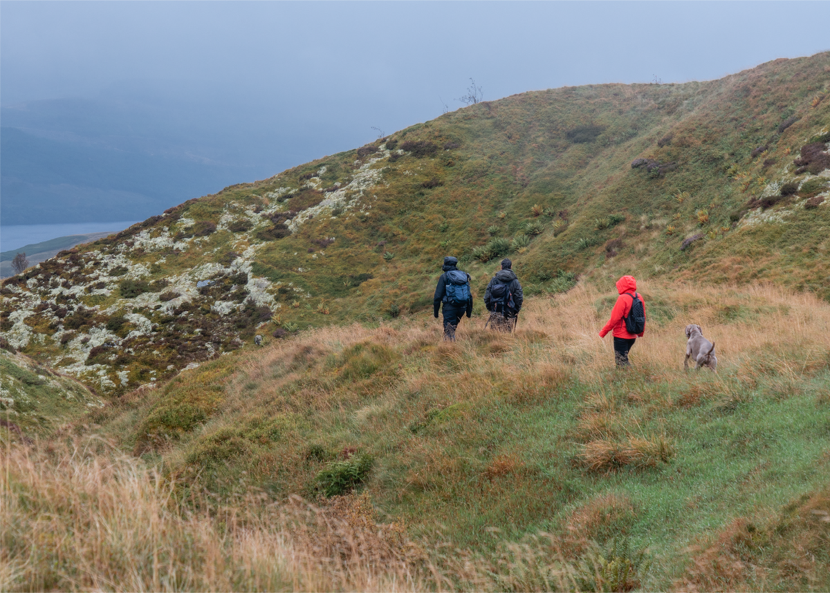 A day at Ben Lawers with the National Trust for Scotland